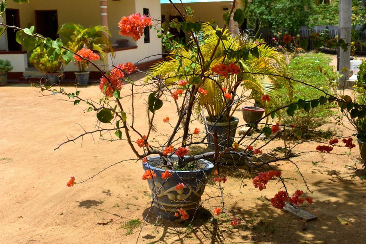 Yaswi Guest House Passikudah المظهر الخارجي الصورة